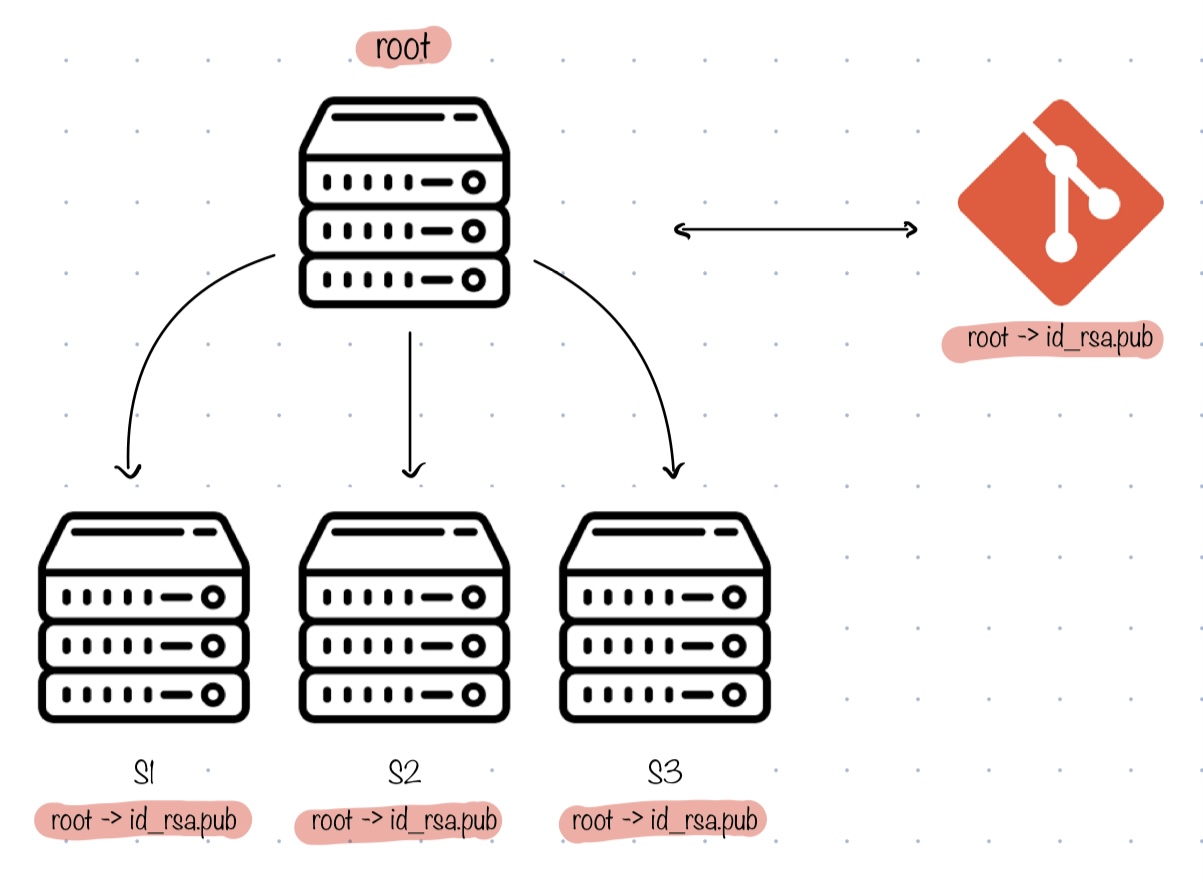 root design